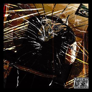 Snake Sum DISS (Explicit)