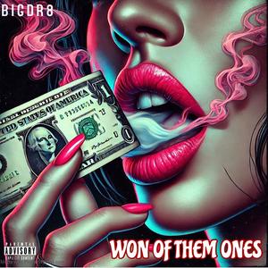 Won Of Them Ones (Explicit)