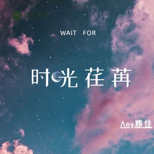 不该犯的蠢 (COVER版)