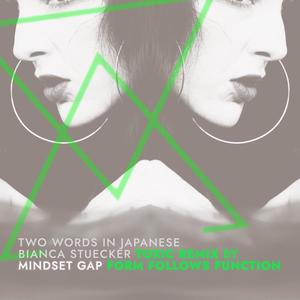 Mindset Gap (feat. Form Follows Function) [Toxic Remix by Form Follows Function] [Explicit]
