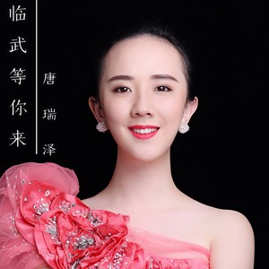 唐瑞泽 - 请到临武来