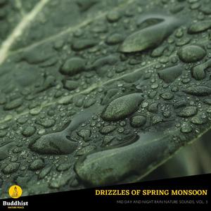 Drizzles of Spring Monsoon - Mid Day and Night Rain Nature Sounds, Vol. 3