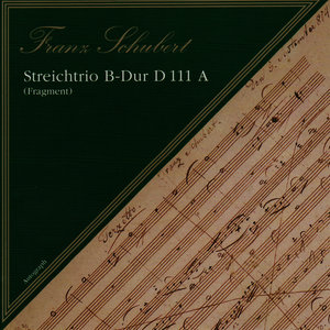 Franz Schubert: Streichtrio B Dur D111 A
