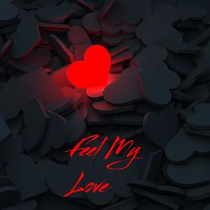 Feel My Love