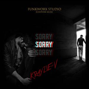 Sorry (feat. Rudebwoy MNL & Echoverb Music) [Explicit]