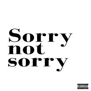 Sorry not Sorry (Explicit)