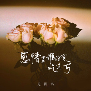 无脚鸟 - 感情里谁没有吃过亏