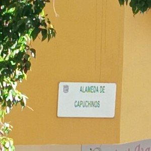 A muchos os gusta hablar (Explicit)