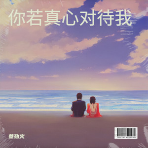 你若真心对待我