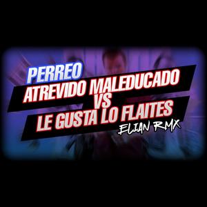 PERREO ATREVIDO MALEDUCADO VS LE GUSTA LOS FLAITES