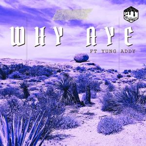 Why Aye (feat. Yung Addy) (Explicit)