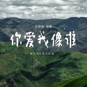 你爱我像谁 (快不快乐我无所谓)封面