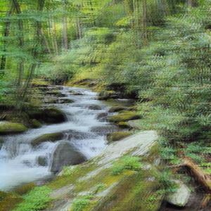 the grass is green but so are my shoes