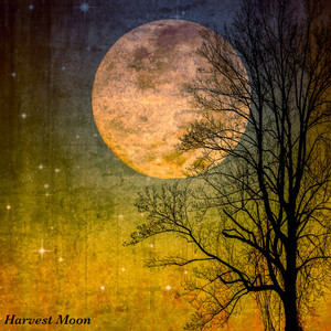 Harvest Moon