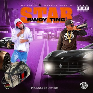 Star Bwoy Ting (Explicit)