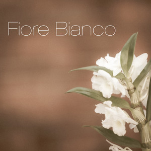 Fiore Bianco