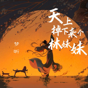 天上掉下个林妹妹