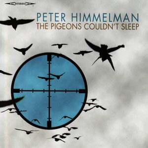 The Pigeons Couldn't Sleep