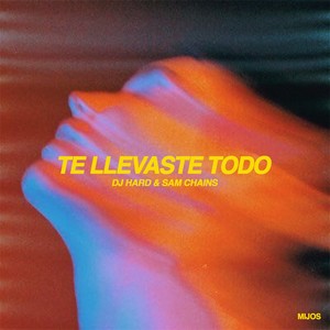 Te Llevaste Todo