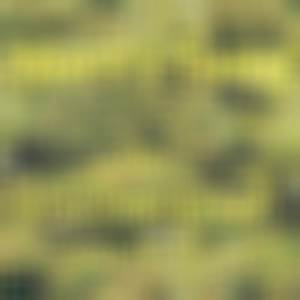 Mari's Song (Remix - Produced by Anno Domini Nation)