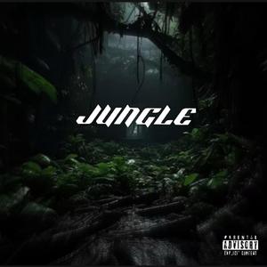 Jungle (Explicit)