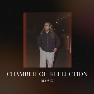 Chamber of reflection (feat. Lumii) (Instagram Remix)