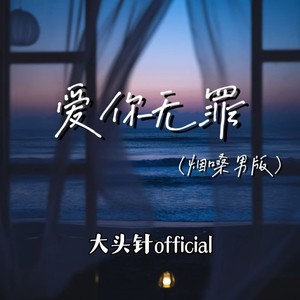 大头针 Official - 爱你无罪 (烟嗓男版)