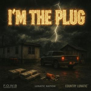 I'M THE PLUG (Explicit)
