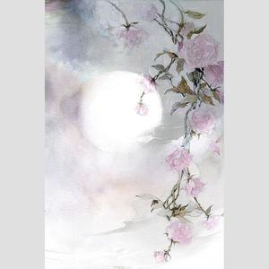 见信如唔