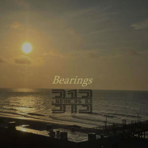 Bearings