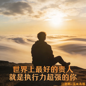 世界上最好的贵人就是执行力超强的你