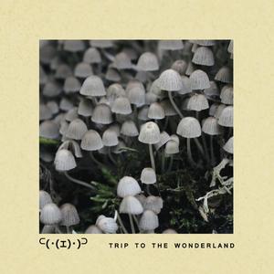 Trip to the Wonderland