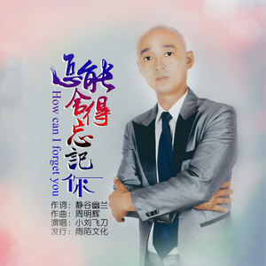 怎能舍得忘记你