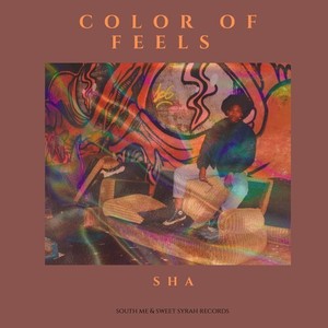 COLOR of FEELS (Explicit)