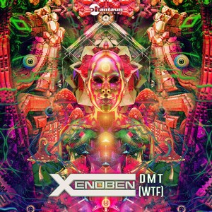 Dmt Wtf (Explicit)