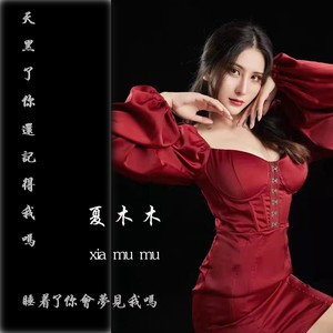 天黑了你还记得我吗