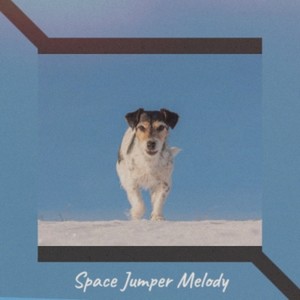 Space Jumper Melody