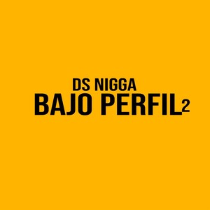 BAJO PERFIL2