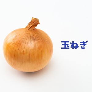 玉ねぎ