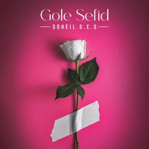 Gole Sefid