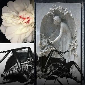 i bleed red lol (Explicit)