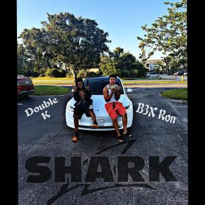Shark (feat. Double K) (Explicit)