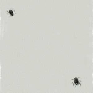2fly2stoned (Explicit)