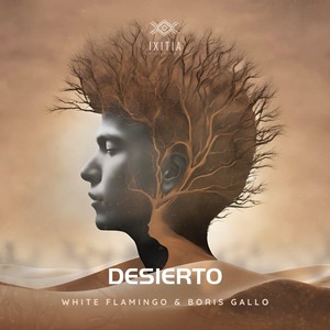 Desierto