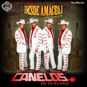 Dolor y Amor (En Vivo|Tololoche)