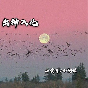 我想说其实你很好 (DJ版)