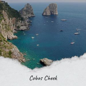 Cobos Cheek