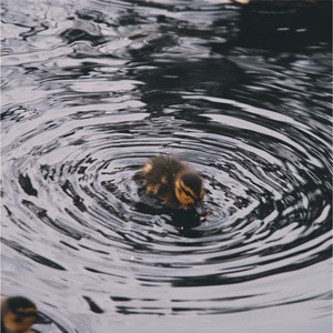 Don't Want to Know(feat. Danny Quinn)