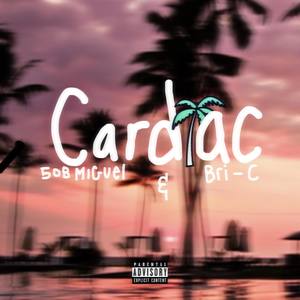 Cardiac (Explicit)