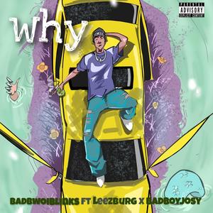 Why (feat. Leezburg & Badboyjosy) [Explicit]